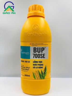 BUP 700SE-TT_Chai 800ml