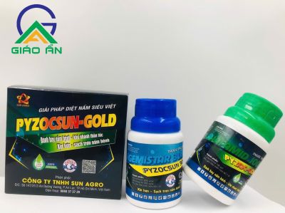 PYZOCSUN GOLD-SUN AGRO_Cặp 240ml