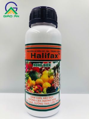 Halifax (RONG BIỂN)-BOLY_Chai 500ml