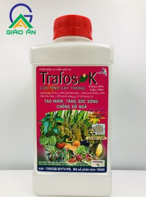 Trafos K-Tradecorp_Chai 1L