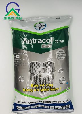 Antracol 70WP-BaYer