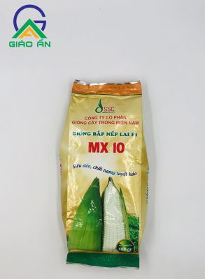 Bắp nếp lai F1 MX10_Gói 500g