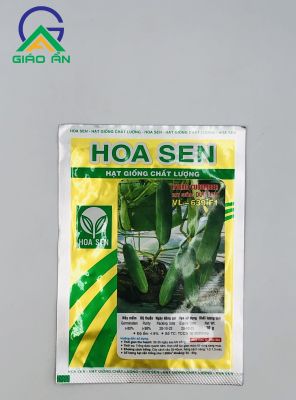 Dưa leo VL -639 F1 (Hoa Sen)_Gói 10g