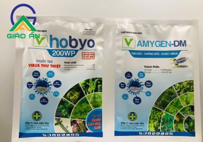 Hobyo+Amygen-ĐM_Gói 75g+40g